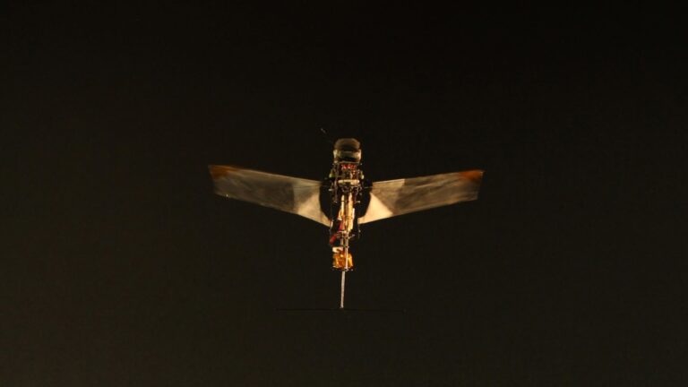 A massively powerful bug just inspired a lightweight flying robot